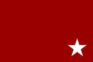 [Essad Pasaha's flag, 1913]