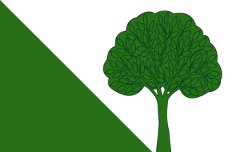 [Proposal of flag of Court-Saint-Etienne]