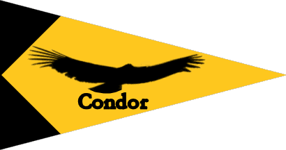 [House flag of Condor]