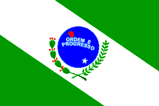 Flag of Paraná, 1892-1905