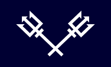 flag for Vice Commander
