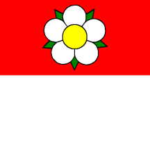 [Flag of Seltisberg]