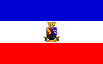 Chillán Viejo flag