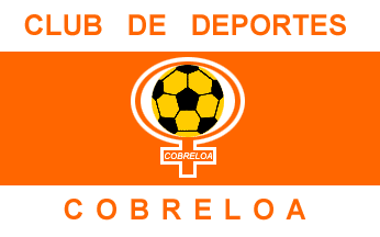 Cobreloa flag
