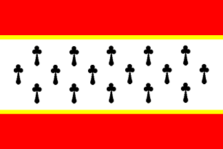 [Chotetov municipality flag]