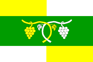 [Tucapy municipality flag]