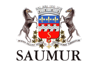 [Flag of Saumur]