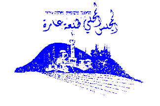 [Local Council of Ma'ale Eiron (Israel)]