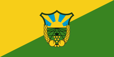 [Flag of Vasilevo]