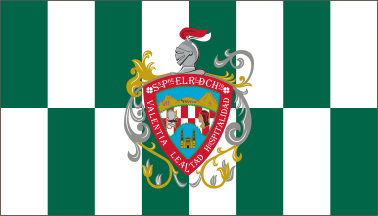 Muncipality of Chihuahua flag