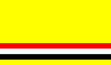 [Namys³ów county flag]
