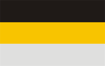 [Chojnice city flag]