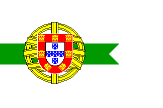 governor flag