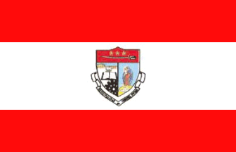 Coronel Oviedo District flag