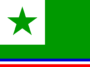 1905 E-o flag proposal