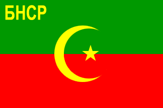 Flag of Bukharian PSR in 1921