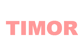 FAO flag for East Timor