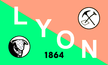 [Flag of Lyon County, Nevada]