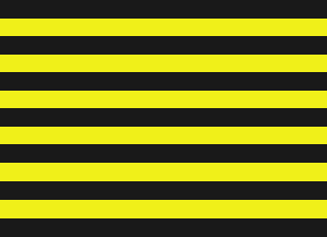 [flag of a Colonial Privateer]