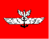 [Civil air ensign - Poland]